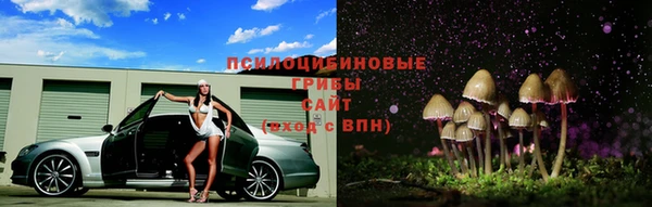 PSILOCYBIN Алексин