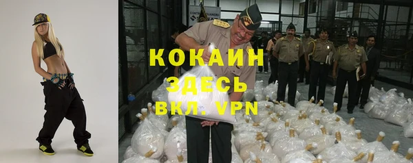 ECSTASY Алзамай