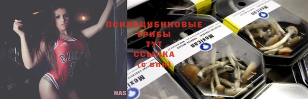 PSILOCYBIN Алексин