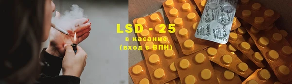 PSILOCYBIN Покачи