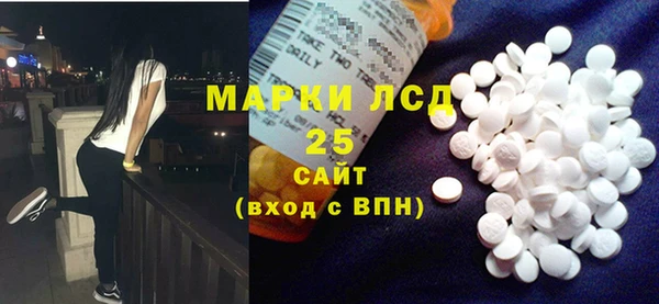 ECSTASY Алзамай