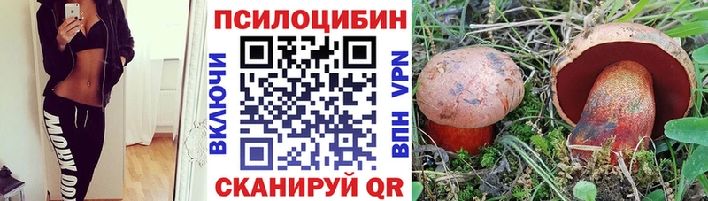 Галлюциногенные грибы GOLDEN TEACHER  Кулебаки 